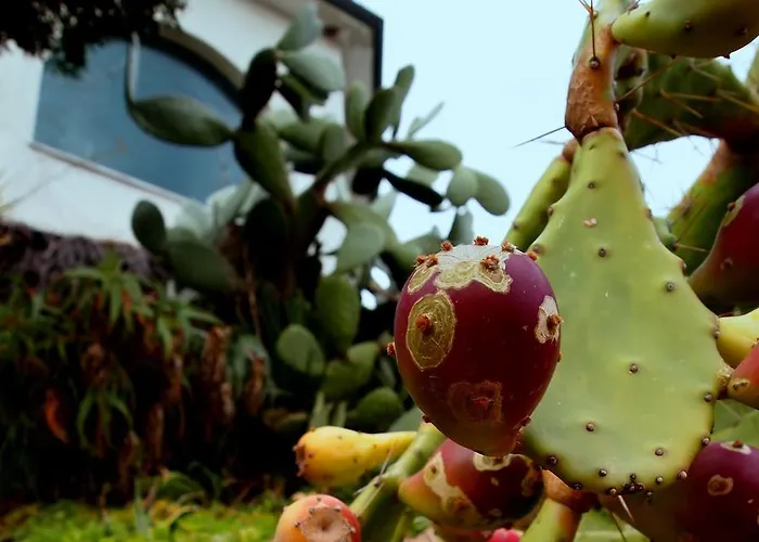 Casa Sul Mare Catania
